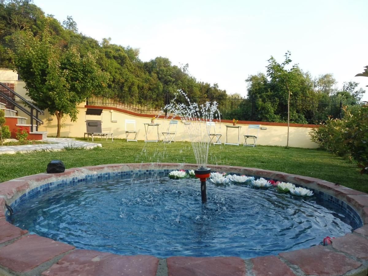 Helianthos Villa - Apartment No4 ปาเลออน ซิฟลิคิออน ภายนอก รูปภาพ