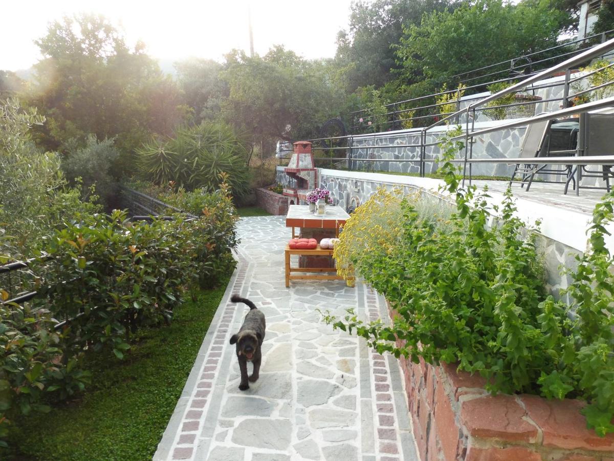 Helianthos Villa - Apartment No4 ปาเลออน ซิฟลิคิออน ภายนอก รูปภาพ